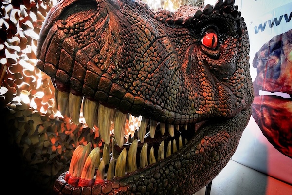 Dinostar in Hull